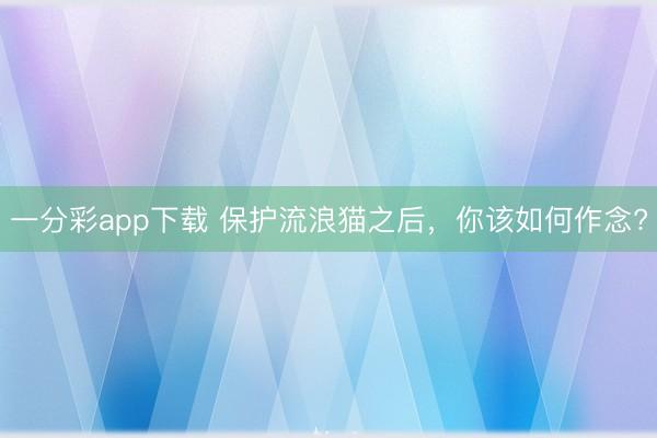 一分彩app下载 保护流浪猫之后,你该如何作念?