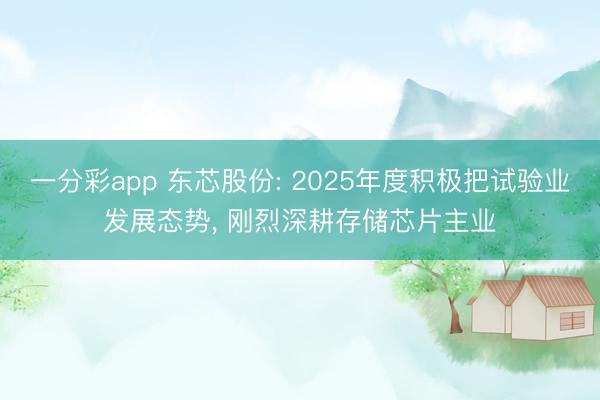 一分彩app 东芯股份: 2025年度积极把试验业发展态势， 刚烈深耕存储芯片主业