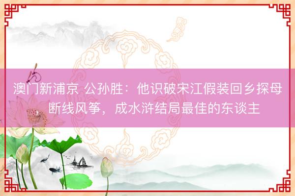 澳门新浦京 公孙胜：他识破宋江假装回乡探母，断线风筝，成水浒结局最佳的东谈主